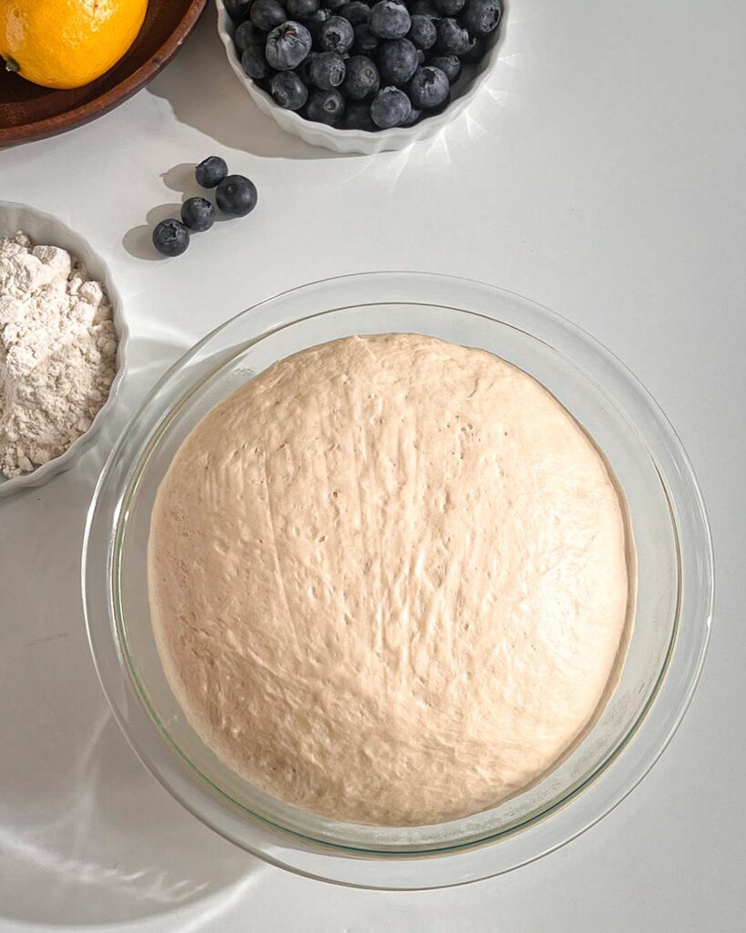 Blueberry Brioche Rolls