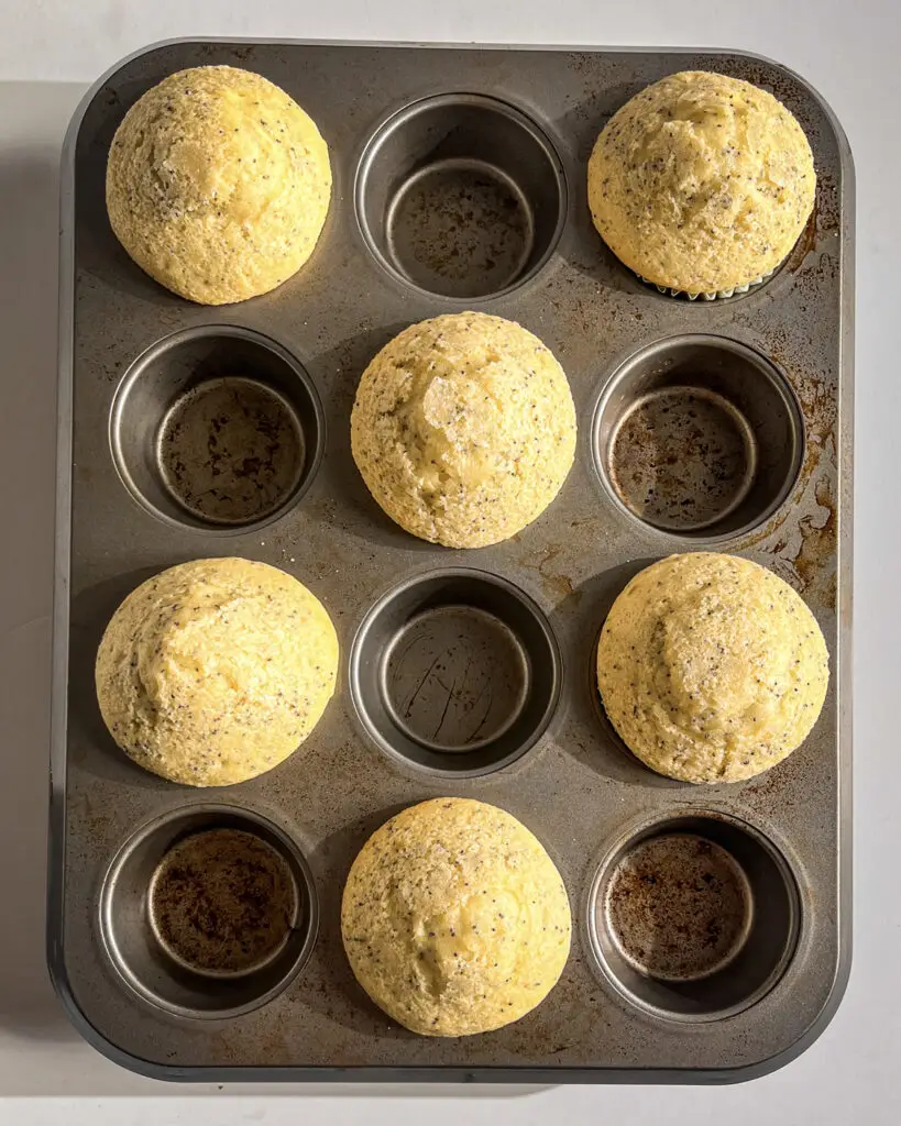 Lemon Poppy Seed Muffins