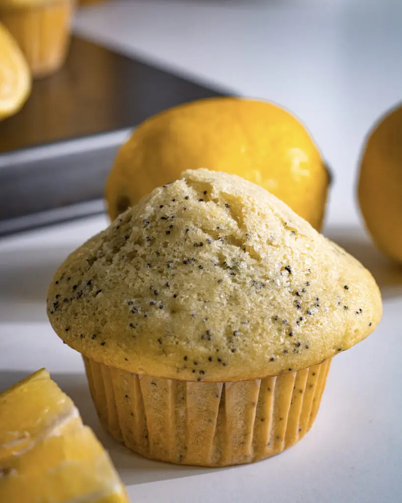 Lemon Poppy Seed Muffins