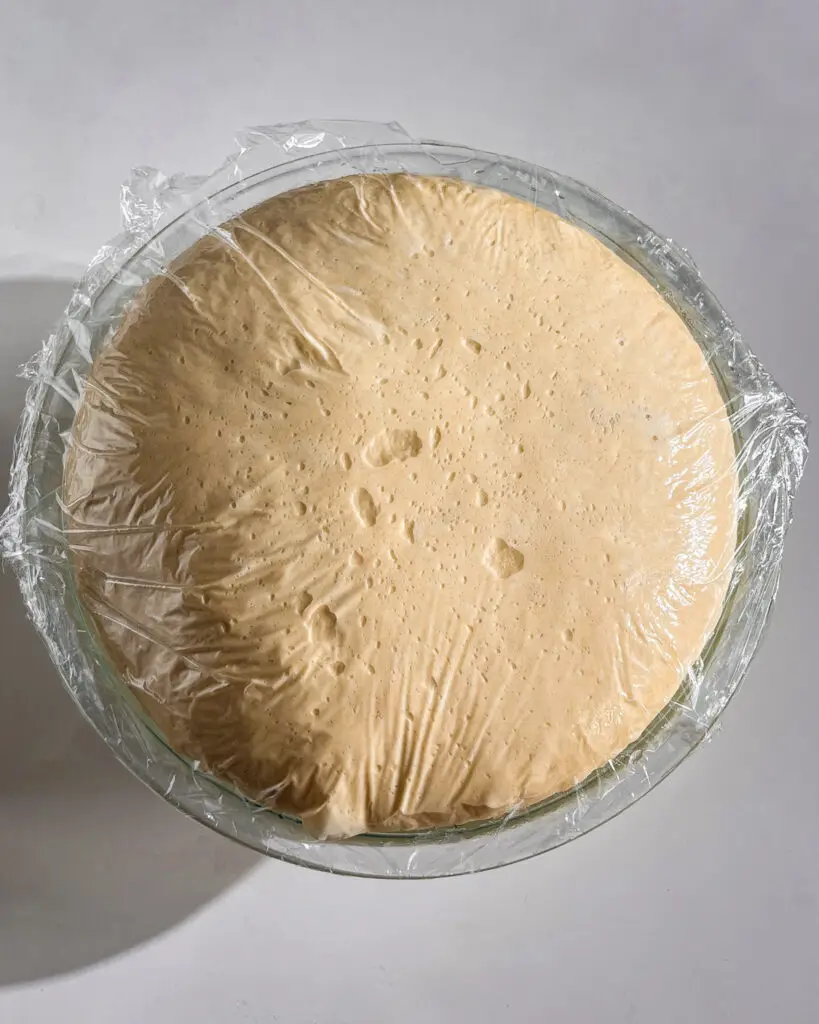 how to make soft and fluffy Homemade Cinnamon Rolls eggless and vegan