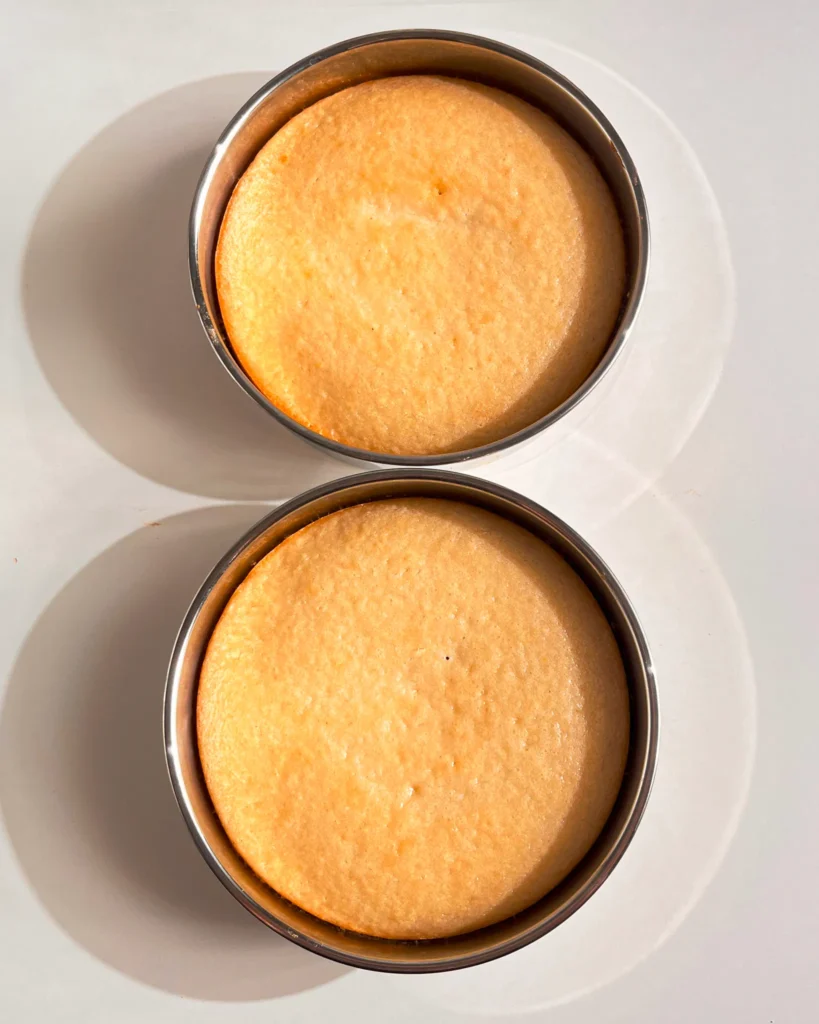 gluten-free mango coconut cake with mango puree